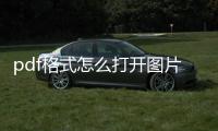 pdf格式怎么打開圖片（pdf格式怎么打開）