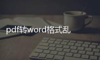 pdf轉word格式亂了怎么調整（pdf轉word格式亂了轉換方法）
