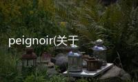 peignoir(關于peignoir簡述)
