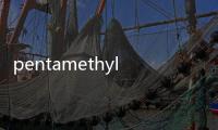 pentamethylene(關于pentamethylene簡述)