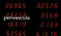 perivascular(關于perivascular簡述)