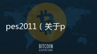 pes2011（關于pes2011的基本情況說明介紹）