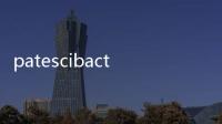 patescibacteria是什么門（patescibacteria中文）