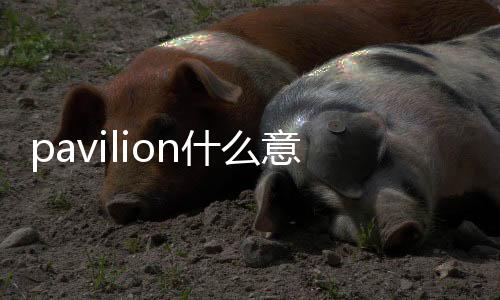 pavilion什么意思（lion什么意思）