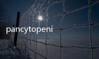 pancytopenia(關(guān)于pancytopenia簡述)