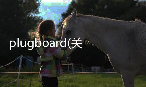 plugboard(關(guān)于plugboard簡(jiǎn)述)
