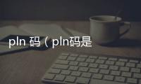 pln 碼（pln碼是什么意思）