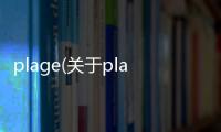 plage(關(guān)于plage簡述)