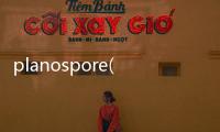 planospore(關于planospore簡述)