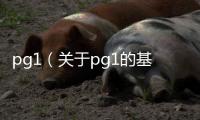 pg1（關于pg1的基本情況說明介紹）