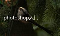 photoshop入門學習，ps教程入門學習