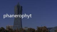 phanerophyte(關(guān)于phanerophyte簡述)