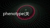 phenotype(關(guān)于phenotype簡述)