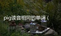 pig讀音相同的單詞（pig讀音）