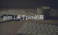 pim（關于pim的基本情況說明介紹）