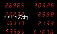 pintle(關于pintle簡述)