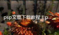 psp文章下載教程（psp文章下載）