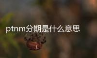ptnm分期是什么意思（ptn）