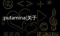 putamina(關于putamina簡述)