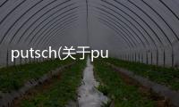 putsch(關于putsch簡述)