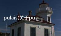 pulais(關于pulais簡述)