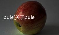 pule(關于pule簡述)