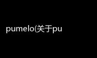 pumelo(關于pumelo簡述)