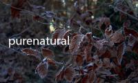 purenatural什么意思（natural什么意思）