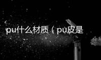 pu什么材質（pu皮是什么材質）