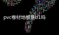 pvc卷材地板是b1嗎（pvc卷材地板）
