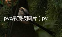pvc吊頂板圖片（pvc吊頂）