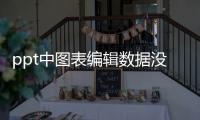 ppt中圖表編輯數(shù)據(jù)沒(méi)反應(yīng)（ppt圖表數(shù)據(jù)編輯不）