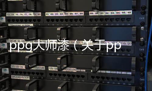 ppg大師漆（關于ppg大師漆的基本情況說明介紹）