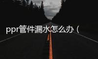 ppr管件漏水怎么辦（ppr水管漏水怎么辦）