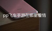 pp飛車(chē)手游在哪里看情侶天數(shù)（pp飛車(chē)）