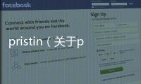pristin（關于pristin的基本情況說明介紹）