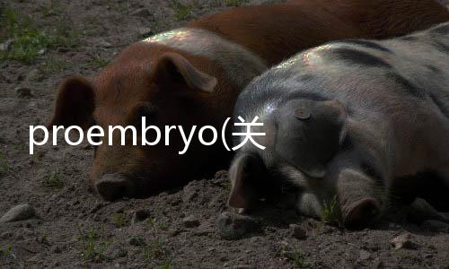 proembryo(關于proembryo簡述)