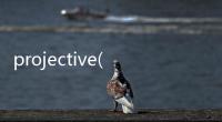 projective(關(guān)于projective簡(jiǎn)述)