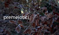 premeiotic(關(guān)于premeiotic簡述)