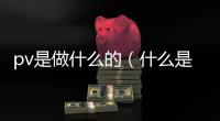 pv是做什么的（什么是pv和uv）