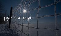 pyeloscopy(關(guān)于pyeloscopy簡(jiǎn)述)
