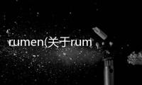 rumen(關于rumen簡述)