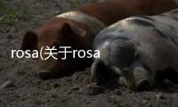 rosa(關于rosa簡述)