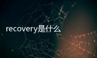 recovery是什么意思