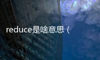 reduce是啥意思（reduce是什么意思）