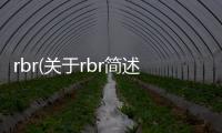 rbr(關于rbr簡述)