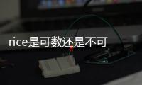rice是可數還是不可數？ rice可數還是不可數