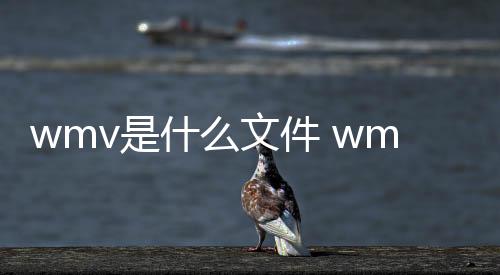 wmv是什么文件 wmv文件應(yīng)該怎樣打開(kāi)？