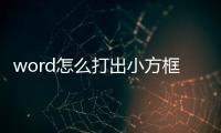 word怎么打出小方框（如何在WORD中輸入小方框）