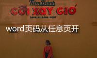 word頁碼從任意頁開始，Word文檔頁碼從任意頁開始怎么設(shè)置